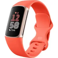 Fitbit Charge 6, Aktivitäts-Trackerarmband, AMOLED, GPS, Nahfeldkommunikation (NFC), Wasserfest, Koralle