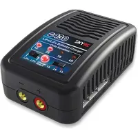 SkyRC E430 AC 1-6 LiPo 30W