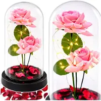 Wisam Ewige Rose Glaskuppel LED Kristall 21,5 cm Deko