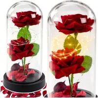 Wisam Ewige 2 Rosen Glaskuppel LED Rot 21 cm Deko