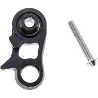 Campagnolo Snodo + Vite Service-kit