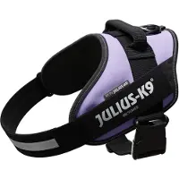 Julius-K9 IDC Powergeschirr lila, Größe: L/1