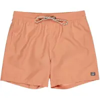 Billabong All Day Badeshorts