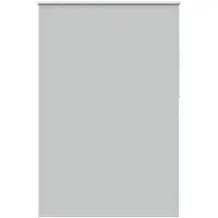 vidaXL Verdunkelungsrollo Hellgrau 165x230cm Stoffbreite 161,6cm