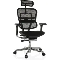 Hjh OFFICE Luxus Chefsessel ERGOHUMAN GEN2 Ergonomischer Bürostuhl mit Armlehnen (höhenverstellbar) Stoff / Netzstoff Drehstuhl für Büro, Zuhause