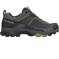 Salomon - Wanderschuhe für Tageswanderungen - X Ultra 5 GTX Dark G/Asphal/Willow für Herren - Größe 44 2/3 - Grau