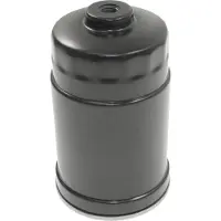 Blue Print Kraftstofffilter ADG02326