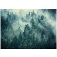WALLARENA FOTOTAPETE Wald im Nebel Vliestapete 300x210
