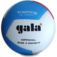 Gala Volleyballball Pro-line Bv5565s