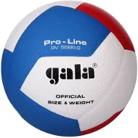 Gala Volleyballball Pro Line Bv 5585s