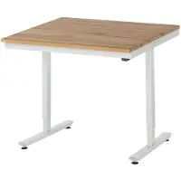 RAU Arbeitstisch - elektrisch höhenverstellbar 720 - 1.120 mm - 1.000 x 900 mm (BxT) - Traglast 150 kg - Buche