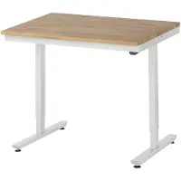 RAU Arbeitstisch 1000x800x720-1120 elektrisch B-Platte 25mm l.gr