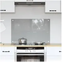 vidaXL Küchenrückwand Hellgrau 80 x 50 cm Gehärtetes Glas