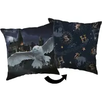 Jerry Harry Potter Hogwarts Kissen, dekoratives Kissen 40x40 cm
