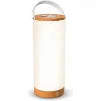 TaoTronics TT-DL23 Pro wiederaufladbare RGB-LED-Lampe, Touch-Steuerung, 5 W, 250 lm, 7 Lichtfarben, 4000 mAh Akku, 110 x 110 x 273 mm