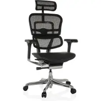 Hjh OFFICE Ergohuman Gen2