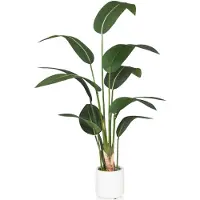 Hjh OFFICE Strelitzia