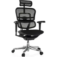 Hjh OFFICE Luxus Chefsessel ERGOHUMAN ULTRA F GEN2 Ergonomischer Bürostuhl mit Armlehnen (höhenverstellbar) Netzstoff Drehstuhl für Büro, Zuhause