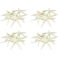 Torribaly 48 Stücke Weißer Finger Seestern 5-10 cm Dekoration Zierfinger Seestern