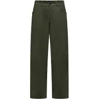 Salewa Fanes Cord Pant M faded green (5A50) 52/XL