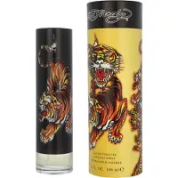 Christian Audigier Ed Hardy Men Eau de Toilette 100 ml