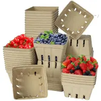 Kepptory 30er Pack Natürliche Zellstofffaser-Beerenkörbe, Geformte Obstventilierte Körbe Küchenausstattung für Erdbeeren, Blaubeeren, Himbeeren