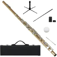 ISTOVO SLADE 16 Closed Holes Flute C Key Flute Concert Performance Flute Professional Woodwind Instruments Gold