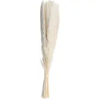 Semoic 40 StüCke NatüRliches Getrocknetes WeißEs Pampasgras 45 Cm Flauschige und Schwingende DIY Boho Pflanze für Hochzeitsblumenarrangements