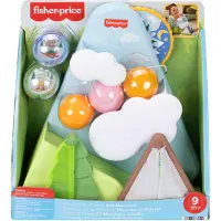 Fisher-Price Camping-Freunde Kullerberg, entwicklungsförderndes Aktivitätsspielzeug für Babys, 5 Bälle, 0,75 Jahr(e), Kunststoff, Mehrfarbig