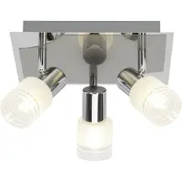 Lightbox Basic Spotrondell mit Glas Schirmen - schwenkbar - inkl. LEDs
