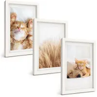 Tulup BILDER SET 3er Set - 20x30 cm Weißer Rahmen - Niedliche Tiere, Katzen, Hunde, Boho-Stil
