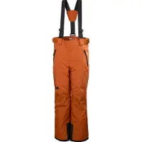 Helly Hansen No Limits 2.0, Skihosen, Junior, braun