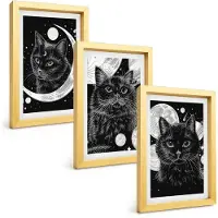 Tulup BILDER SET 3er Set - 20x30 cm Goldrahmen - Schwarze Katzen, Mond, Weltraum