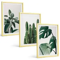 Tulup BILDER SET 3er Set - 40x60 cm Goldrahmen - Tropische ästhetische Pflanzen