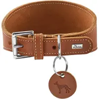 Hunter Windhundhalsband Aalborg XS (32), cognac