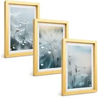 Tulup BILDER SET 3er Set - 20x30 cm Goldrahmen - Tautropfen auf Löwenzahn