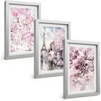 Tulup BILDER SET 3er Set - 20x30 cm Silberner Rahmen - Blumenlandschaft in Rosatönen
