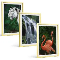 Tulup BILDER SET 3er Set - 40x60 cm Goldrahmen - Tiger Wasserfall Flamingos Natur