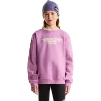 The North Face Teen Glove Chalbi Relaxed Crew - Graphic hushed lavender (G6E) L