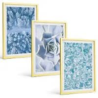 Tulup BILDER SET 3er Set - 40x60 cm Goldrahmen - Winterwald blaue Blume Wasser
