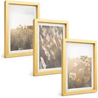 Tulup BILDER SET 3er Set - 20x30 cm Goldrahmen - Landschaftsgrasblumen Wärme