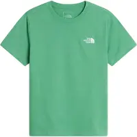 The North Face Teen Evolution Simple Dome Short Sleeve Tee dimmed algae (G57) L