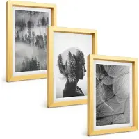 Tulup BILDER SET 3er Set - 20x30 cm Goldrahmen - Waldnebelporträt Baum Löwenzahn