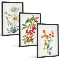 Tulup BILDER SET 3er Set - 40x60 cm Schwarzer Rahmen - Retro-Blumenarrangements