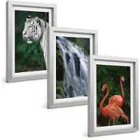 Tulup BILDER SET 3er Set - 20x30 cm Silberner Rahmen - Tiger Wasserfall Flamingos Natur