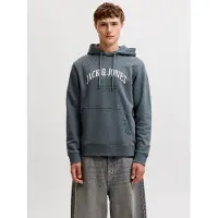 Jack & Jones Kapuzensweatshirt "JJEDENVER LOGO SWEAT HOOD SN", Baumwollmischung, relaxed fit