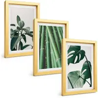 Tulup BILDER SET 3er Set - 20x30 cm Goldrahmen - Bambusstängel und Monstera-Blätter
