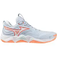 Mizuno Wave Momentum Elite Indoor-sportschuhe Für Damen Blau EU 37 Frau Blau EU 37