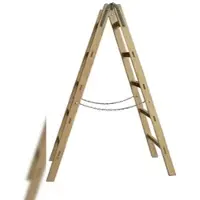Proregal Sprossenstehleiter Made in Germany 2 x 10 Sprossen 2,9 m Länge Eimerhaken Holzleiter Klappleiter