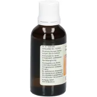 Kattwiga Synergon Komplex 29 Glonoinum T Tropfen 50 ml